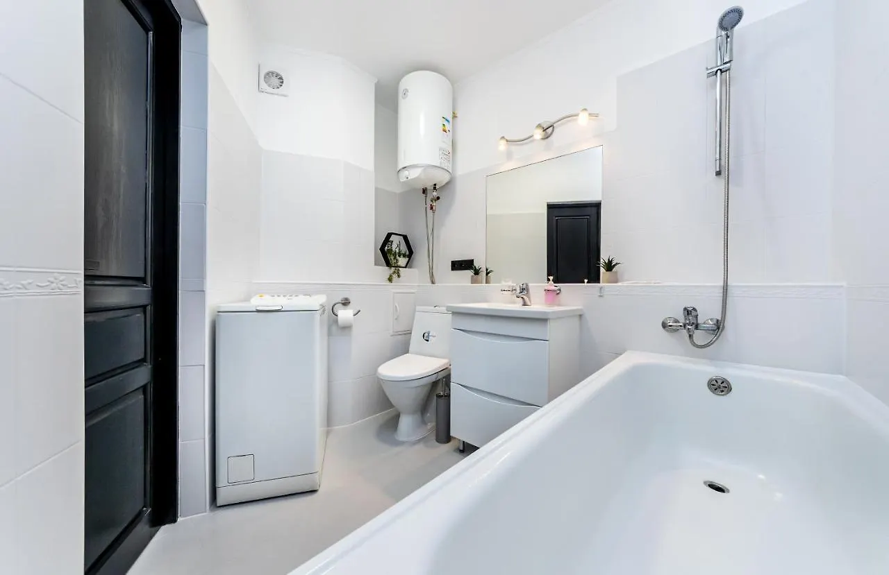 Modern 1 Bedroom Apartment Kiev